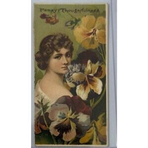 1892 Antique N75 Dukes Floral Beauties Pansy, Tobacco Card